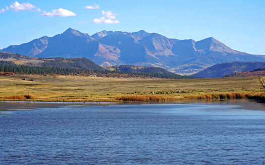 1250 McKenzie Springs Road