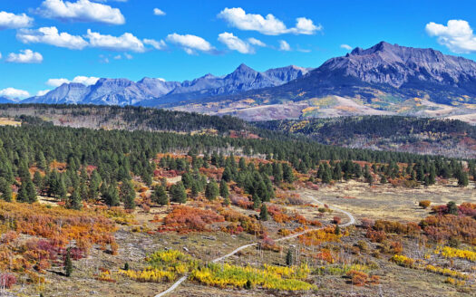 1250 McKenzie Springs Road