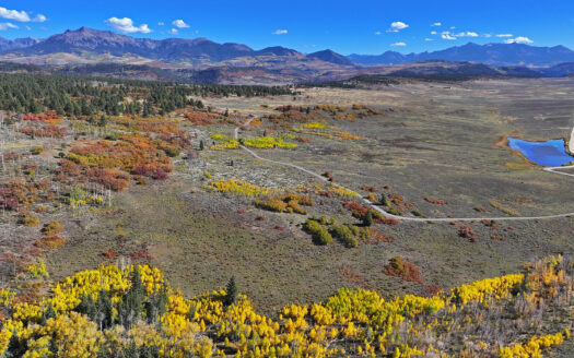 1250 McKenzie Springs Road