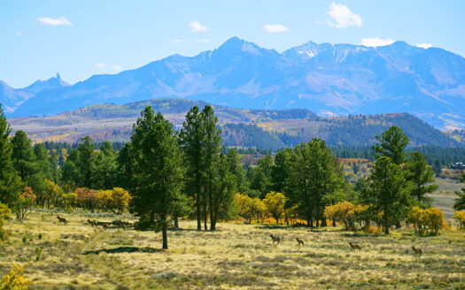 1250 McKenzie Springs Road