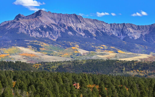 1250 McKenzie Springs Road