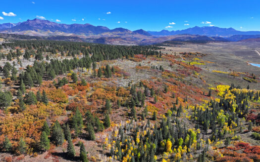 1250 McKenzie Springs Road