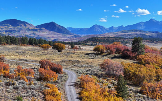 1250 McKenzie Springs Road