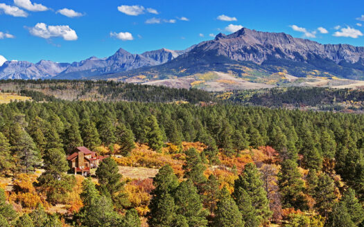 1250 McKenzie Springs Road