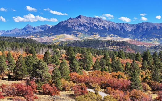 1250 McKenzie Springs Road