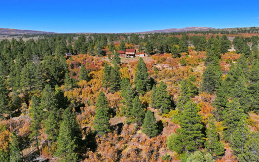 1250 McKenzie Springs Road