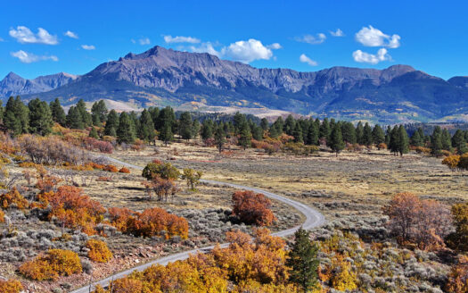 1250 McKenzie Springs Road