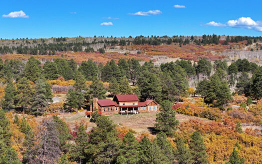 1250 McKenzie Springs Road