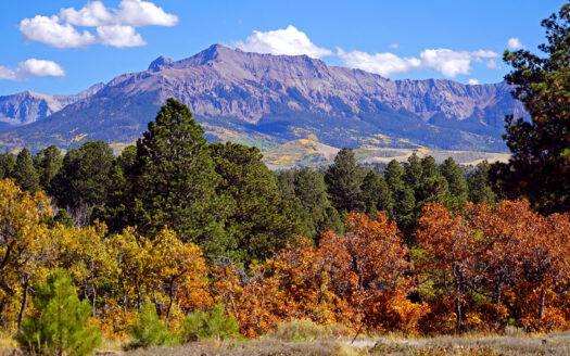 1250 McKenzie Springs Road