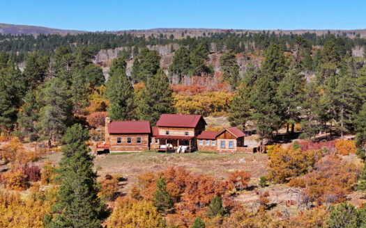 1250 McKenzie Springs Road