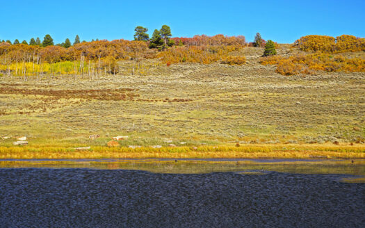 1250 McKenzie Springs Road