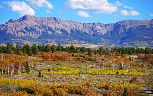 1250 McKenzie Springs Road