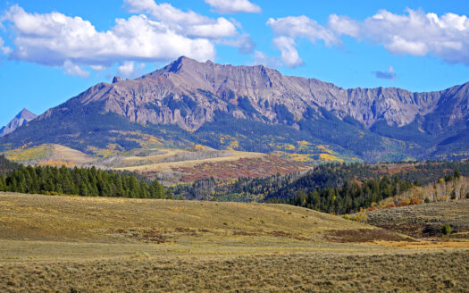 1250 McKenzie Springs Road