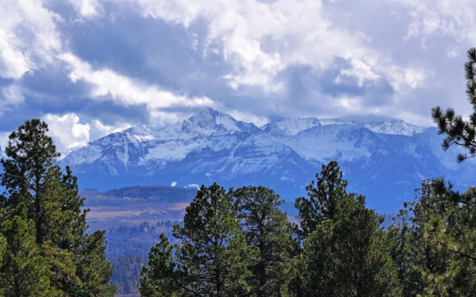 1250 McKenzie Springs Road