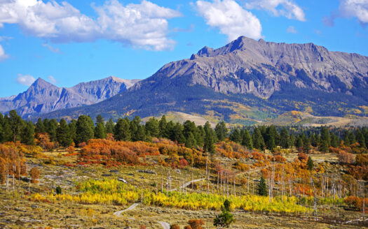 1250 McKenzie Springs Road