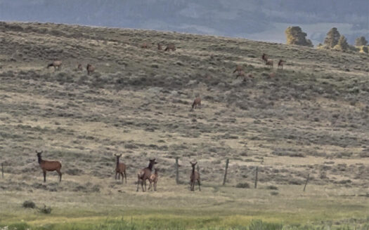 1250 McKenzie Springs Road