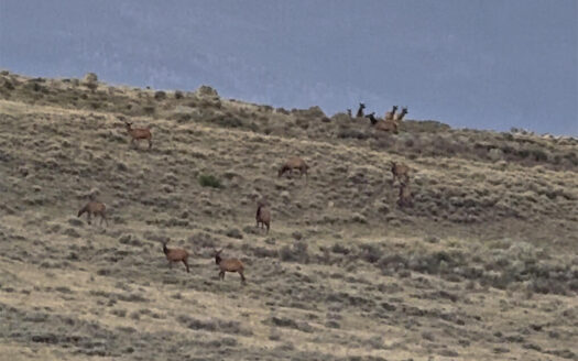 1250 McKenzie Springs Road