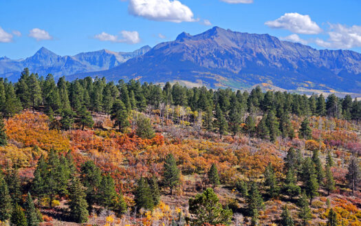 1250 McKenzie Springs Road