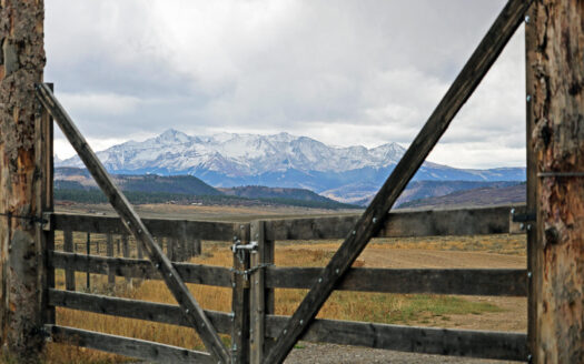 1250 McKenzie Springs Road