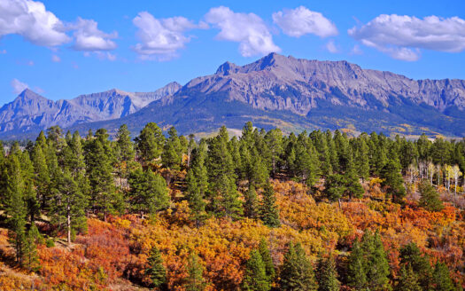 1250 McKenzie Springs Road