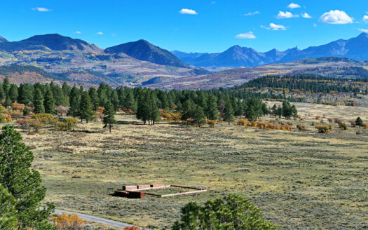 1250 McKenzie Springs Road