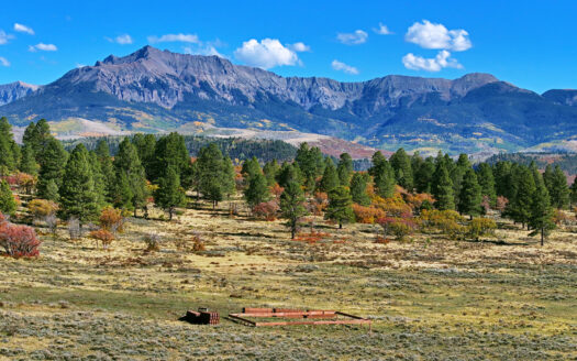 1250 McKenzie Springs Road