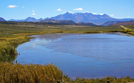 1250 McKenzie Springs Road