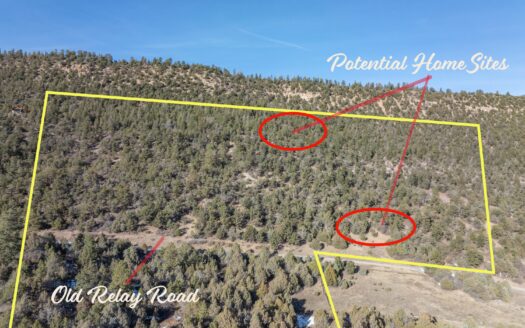 TBD Tract 7 Old Relay Road