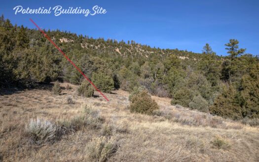 TBD Tract 7 Old Relay Road