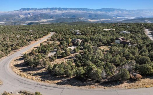 2190 Ponderosa Drive