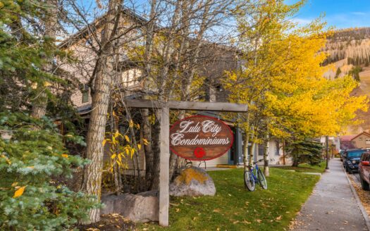 W 791 Pacific Avenue 4H