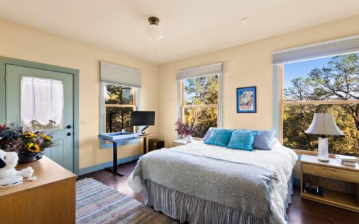 622 Bristlecone Drive