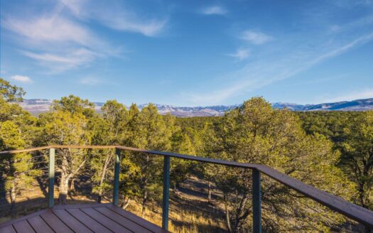 622 Bristlecone Drive