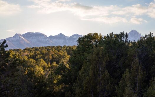 622 Bristlecone Drive