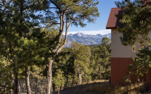 622 Bristlecone Drive