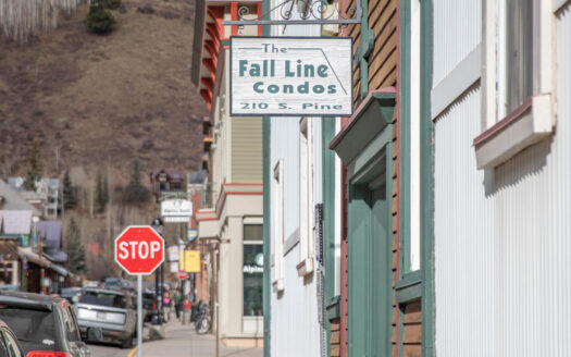 S 210 PINE Street 309 A & B