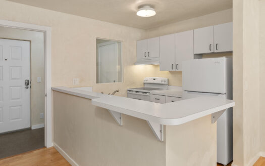 S 210 PINE Street 309 A & B