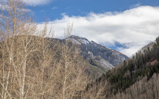 S 210 PINE Street 309 A & B