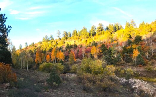W 2A Beaver Pines Loop