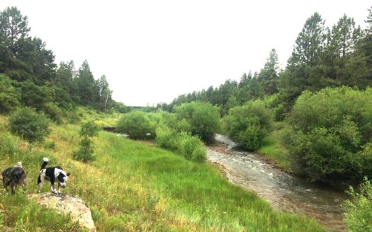 W 2A Beaver Pines Loop