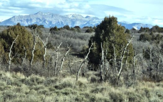 W 2A Beaver Pines Loop