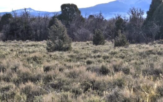 W 2A Beaver Pines Loop