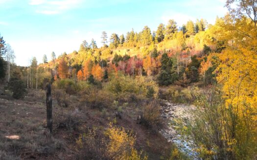 W 2A Beaver Pines Loop