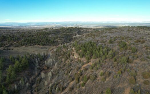 W 2A Beaver Pines Loop
