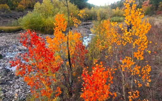 W 2A Beaver Pines Loop