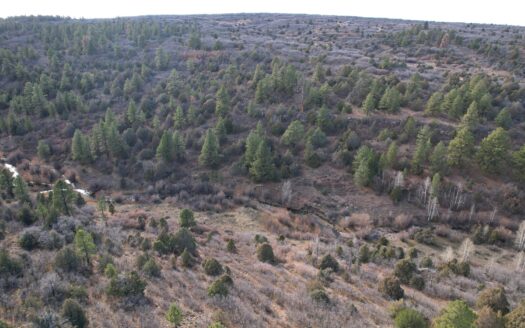 W 2A Beaver Pines Loop