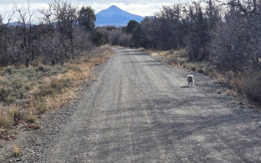 W 2A Beaver Pines Loop