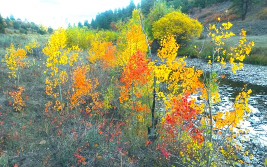 W 2A Beaver Pines Loop