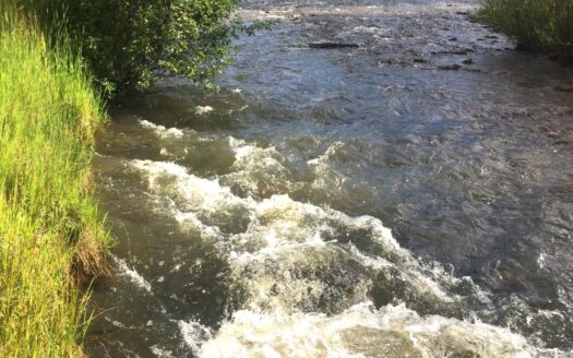 W 2A Beaver Pines Loop