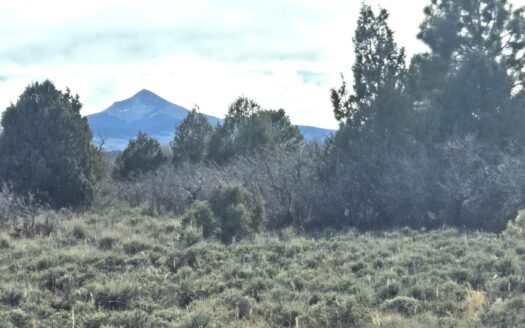 W 2A Beaver Pines Loop